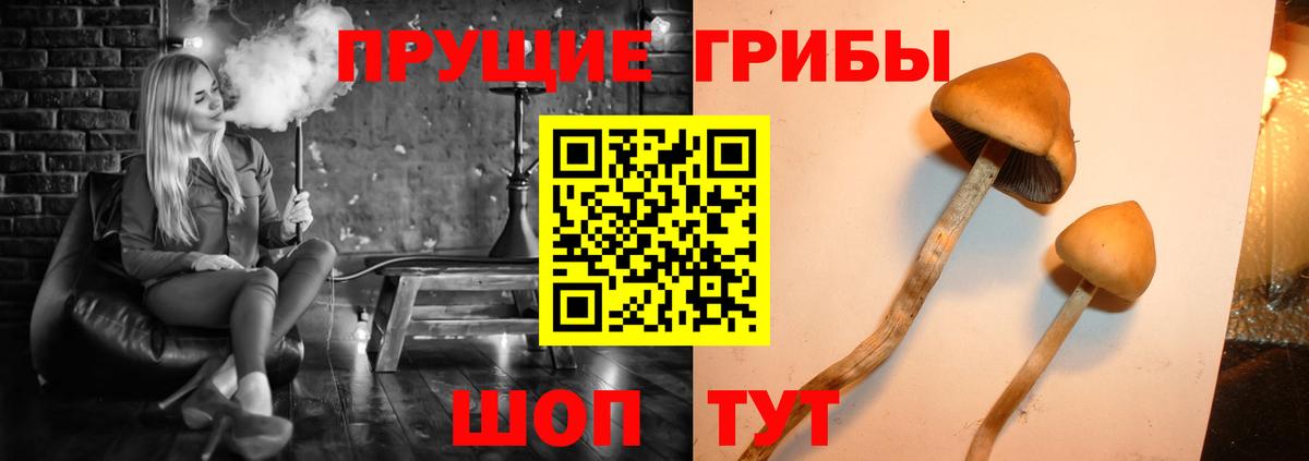 Кохма  Галлюциногенные грибы мухоморы  Вход с VPN 