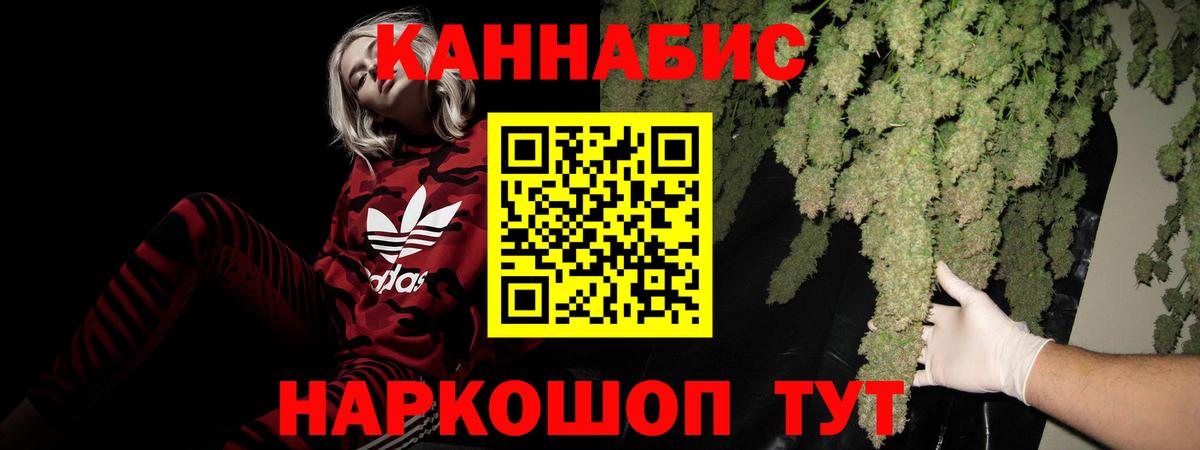 Кохма  Бошки Шишки семена  Вход с VPN  Конопля семена  Конопля планчик 